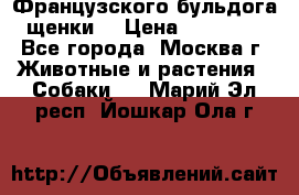 Французского бульдога щенки  › Цена ­ 35 000 - Все города, Москва г. Животные и растения » Собаки   . Марий Эл респ.,Йошкар-Ола г.